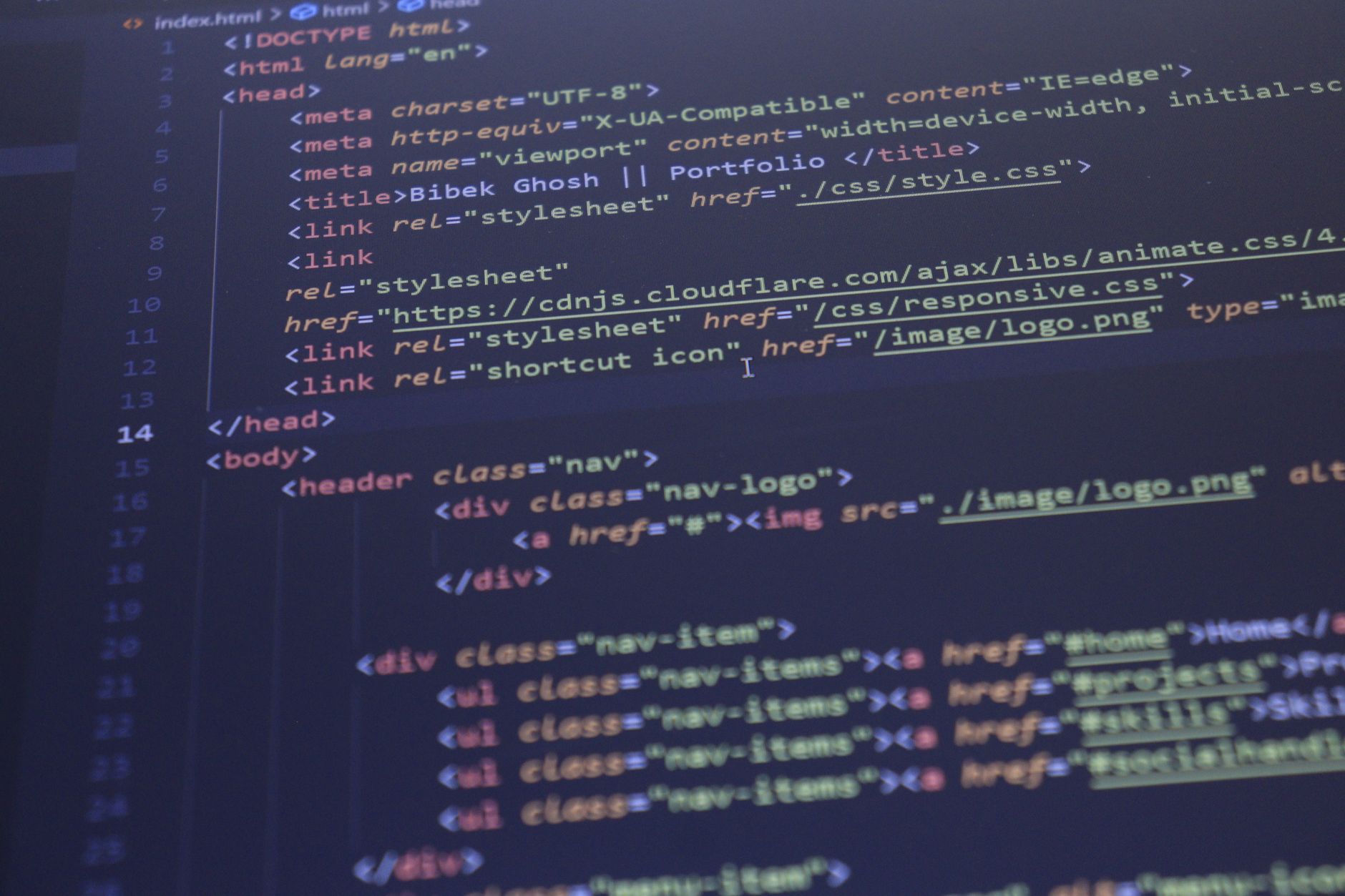Webflow project settings with footer custom code for widget install
